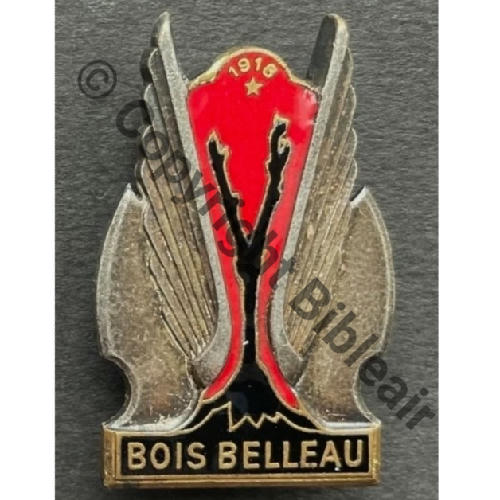 BOIS  PORTE AVION BOIS BELLEAU Aile argentee DrPNRom DPast Guilloche M533 Src.para668 20Eur01.11 